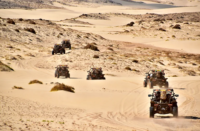 Buggy South Boa Vista Excursion Cape Verde