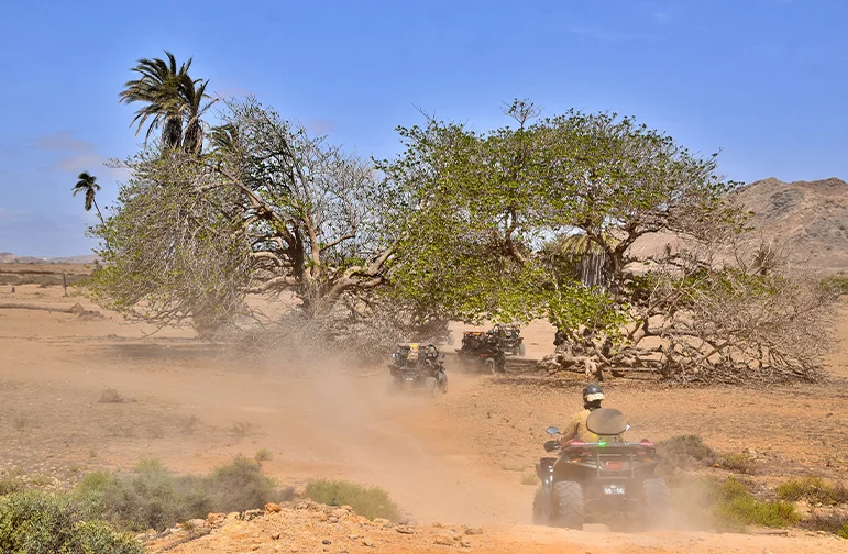 Buggy South of Boa Vista Adventure