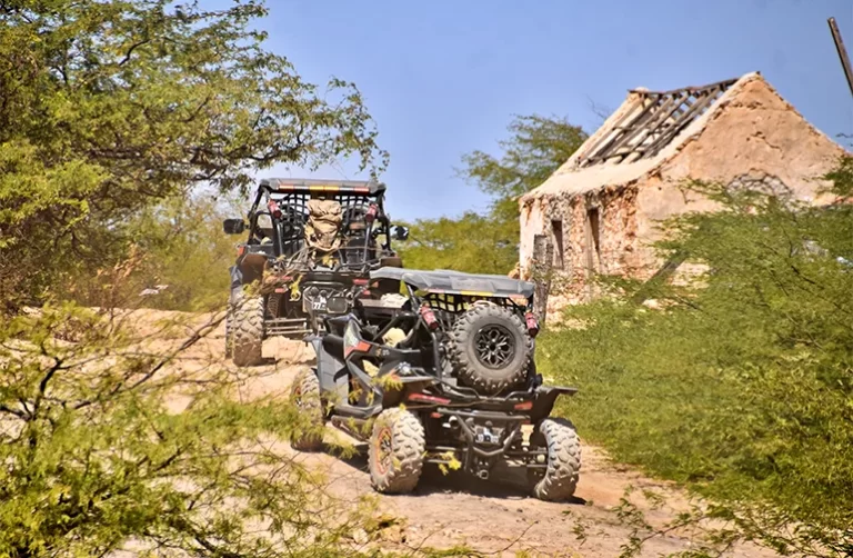 Buggy South of Boa Vista Tour Cape Verde