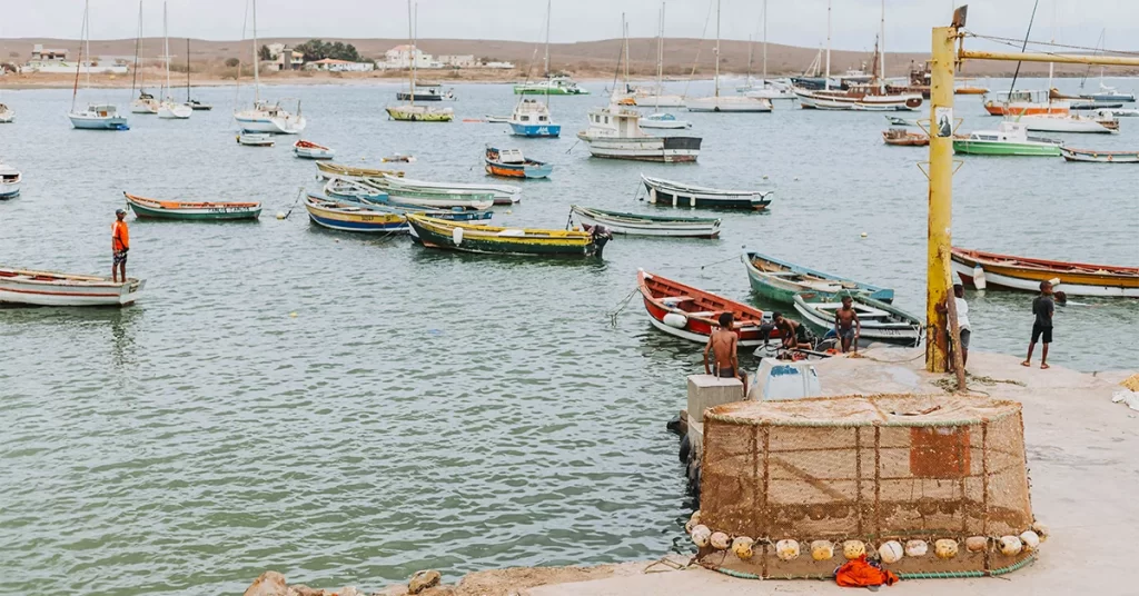 Palmeira Port Sal Island Cape Verde

Credits: Bruno Martins from Unsplash