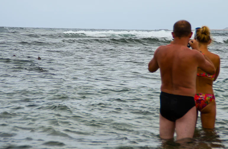 Shark Watching Tour on Sal Island Cape Verde