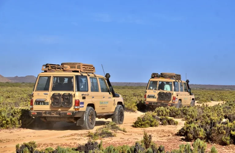 South Jeep Expedition Boa Vista Cape Verde Off Road