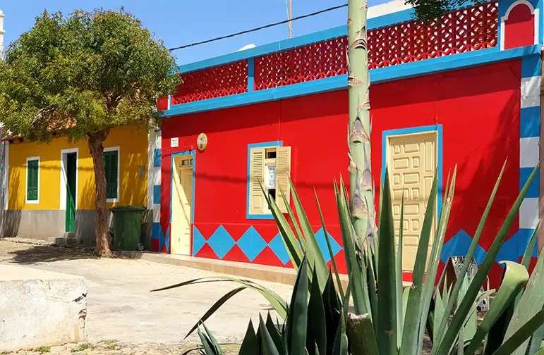 Fundo Figueiras Boa Vista Cape Verde