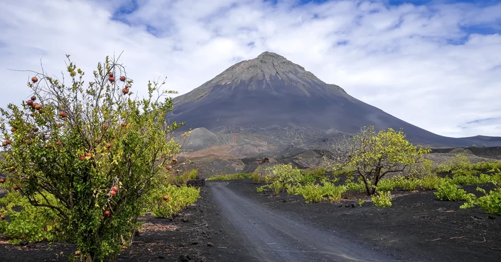 Volcano of Fogo - Fogo Island