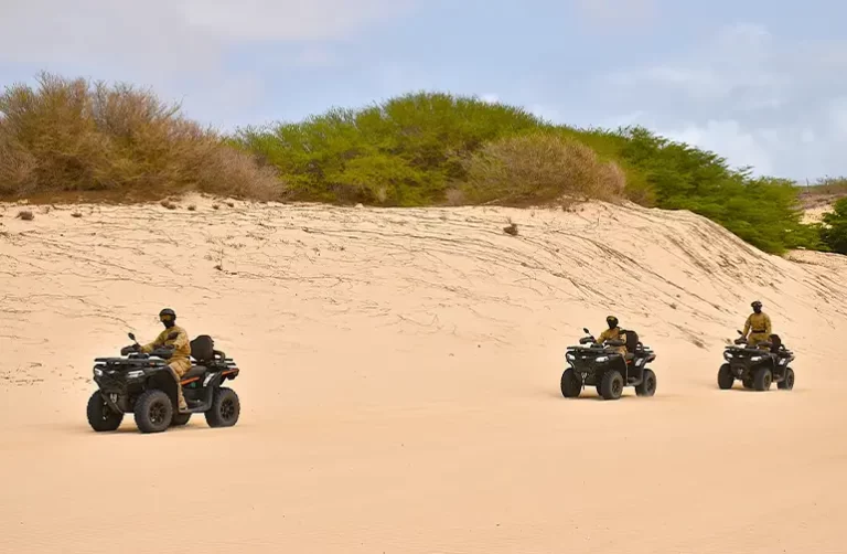 North Boa Vista Quad Tour Viana Desert