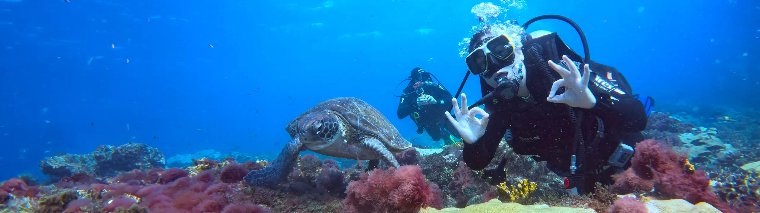 Cabo Verde Diving Sal Island