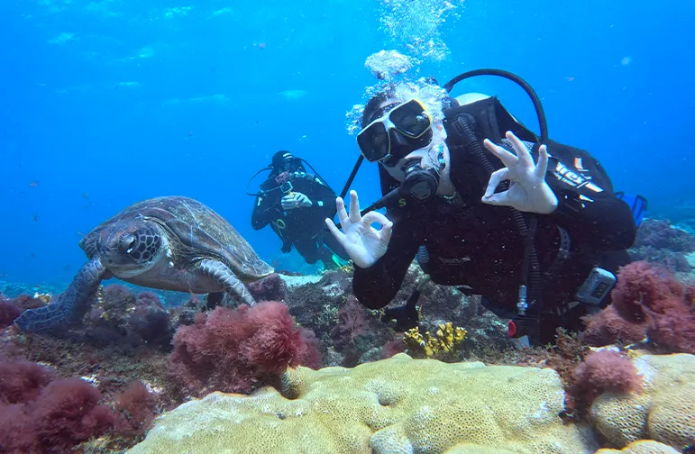 Cape Verde Diving Sal Island