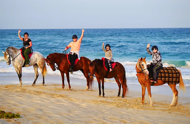 Horseback Riding Ocean Sal Island Cape Verde