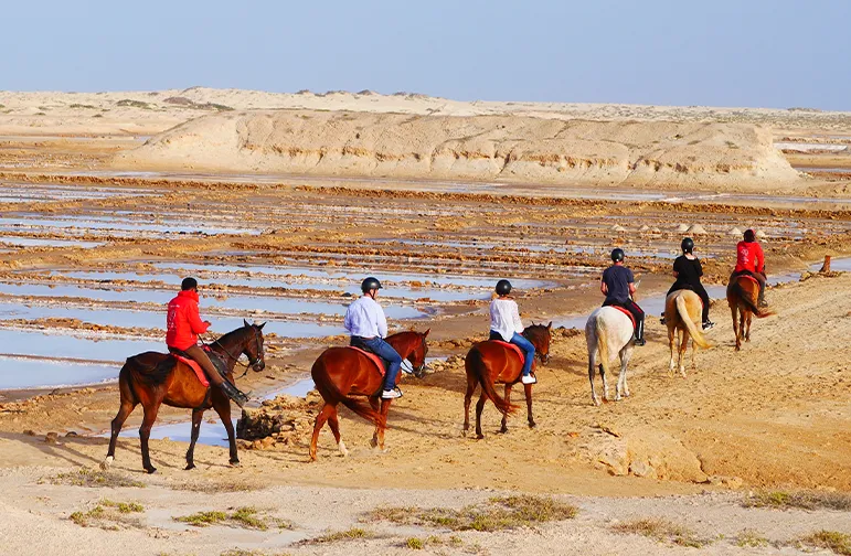 Horseback Riding Salt Flats Santa Maria Sal Island