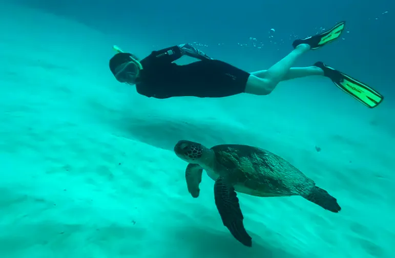 Snorkeling with a Turtle on Sal Island Cape Verde