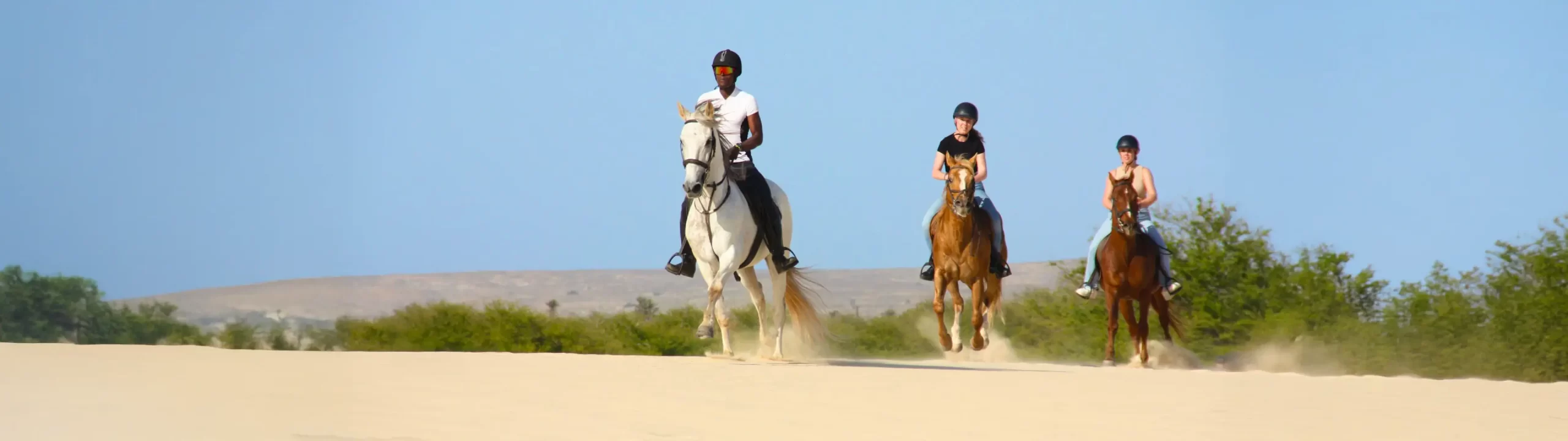 Horseback riding in Boa Vista Cape Verde