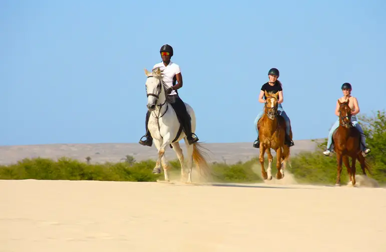 Horseback riding in Boa Vista Cape Verde