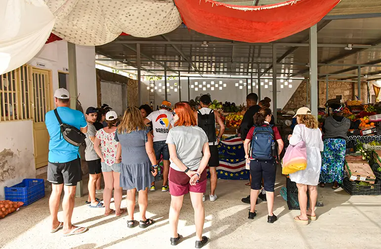 municipal market boa vista culture and history tour