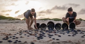 project biodiversity cape verde turtle report 2024